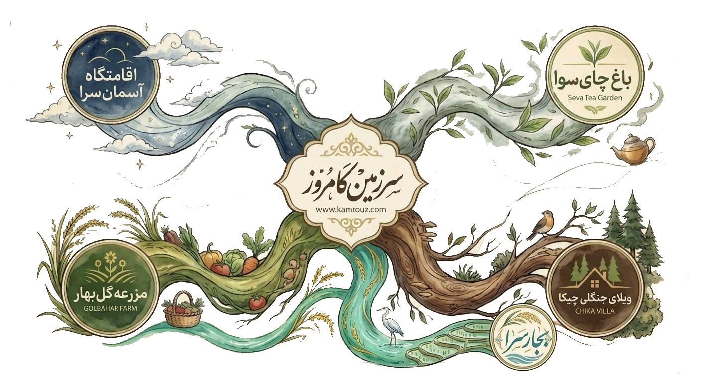 تصویر یافت نشد